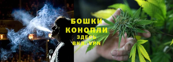 шишки Верхний Тагил