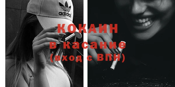 шишки Верхний Тагил
