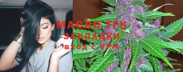 шишки Верхний Тагил