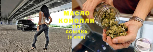 шишки Верхний Тагил