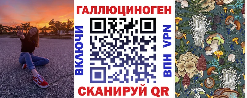 Купить закладки  Вилючинск  Псилоцибиновые грибы GOLDEN TEACHER 