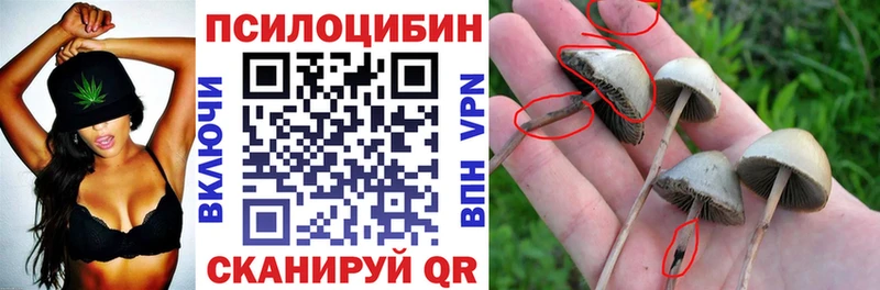 Псилоцибиновые грибы мицелий Вилючинск
